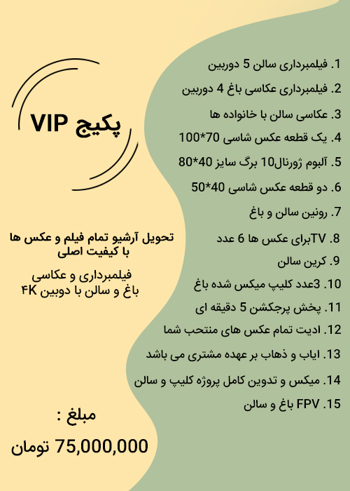 vip2-v2